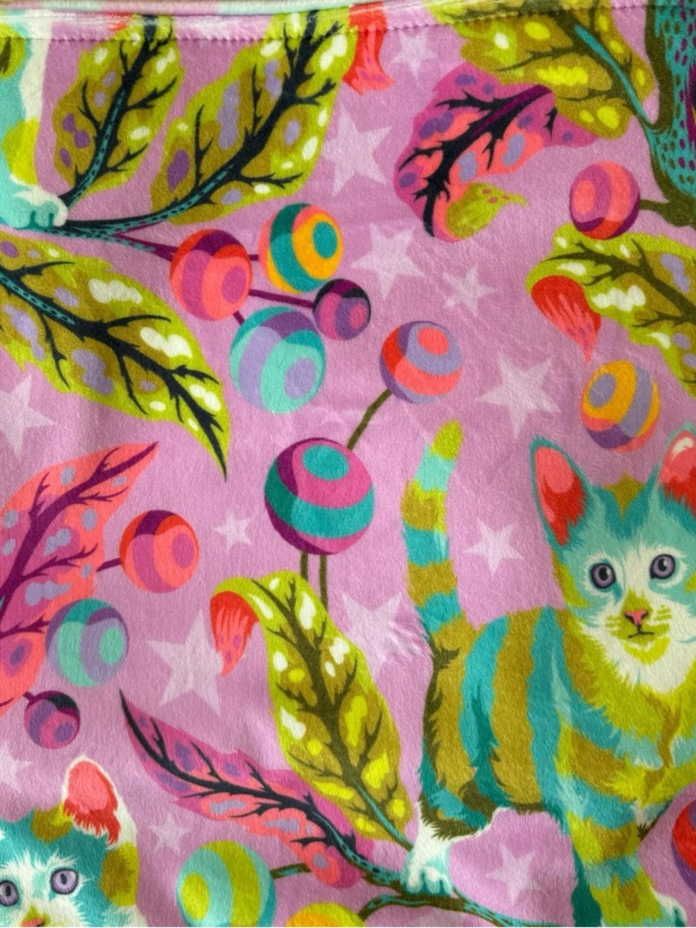 Disco Kitty Minky Baby Blanket